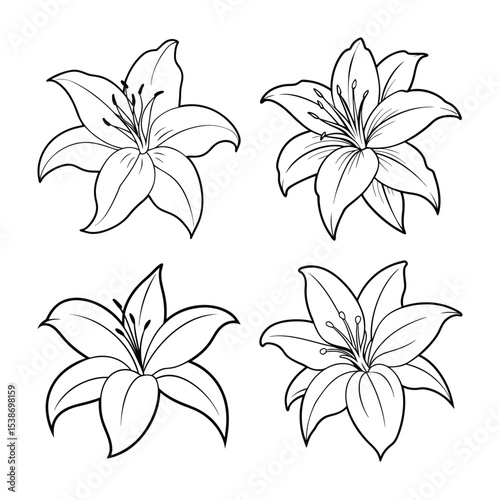 Elegant outlined lily flowers set in various angles for decorative floral designs