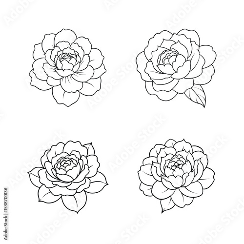 Elegant hand drawn floral outlines of peonies in a simple black and white minimalist style