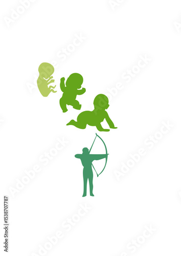 evolution  tir à l'arc