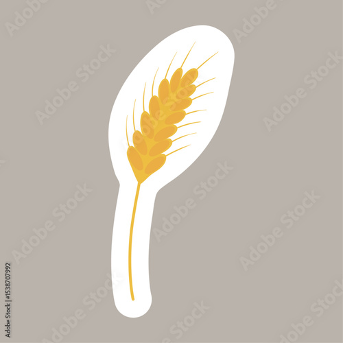 Yellow ripe ear of wheat and barley with white outline on gray background. Vector illustration. Oktoberfest sticker. Harvest festival and thanksgiving day element. Bright square background.