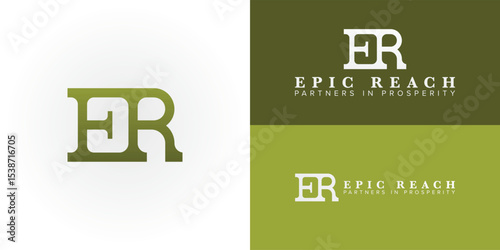 Sophisticated ER logo for financial and investment firms. This emblem signifies growth, reliability, and expertise in wealth management, perfect for a strong, established brand.