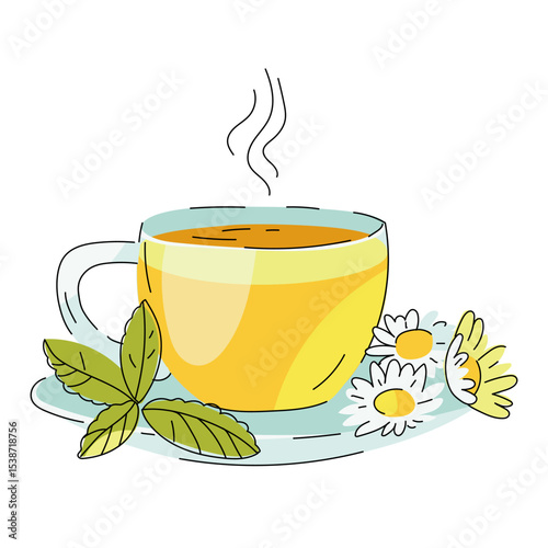 Hot herbal tea in a glass cup on a saucer. Chamomile mint tea. Chamomile flowers and mint leaves lie on a saucer. Vector illustration isolated on white. Cute design. Cartoon 