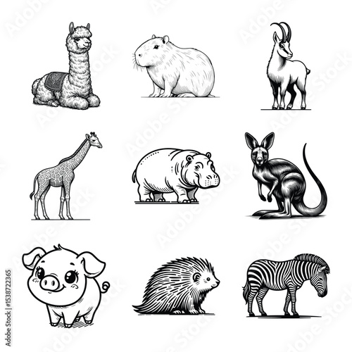 Different types of animal line art bundle vector illustration isolated on a white background
