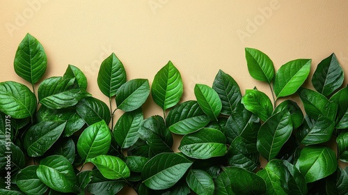 Fresh green leaves arranged on a beige background.