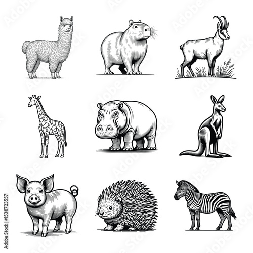 Different types of animal line art bundle vector illustration isolated on a white background