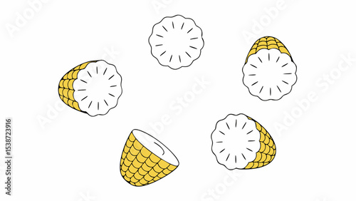 Corn on the Cob Pieces, Flat Lay, Minimalist Design