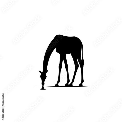 Giraffe Silhouette Elegant African Wildlife Drinking Water Nature Vector Graphic