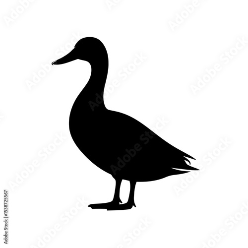 Duck Silhouette Elegant Bird Vector Graphic
