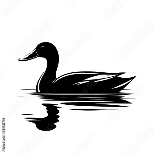 Duck In Water Stunning Bird