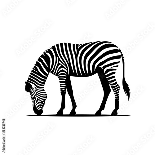Zebra In African Savanna Stunning Wildlife