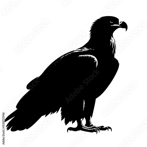 Eagle Silhouette Powerful Bird Of Prey Vector Graphic