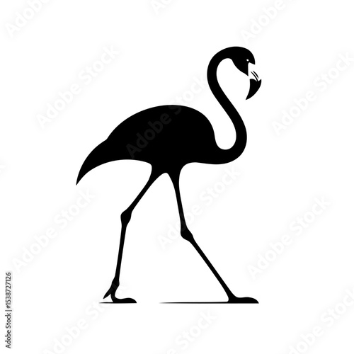 Flamingo Silhouette Elegant Bird In