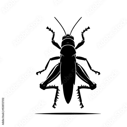 Grasshopper Silhouette Insect Vector Graphic