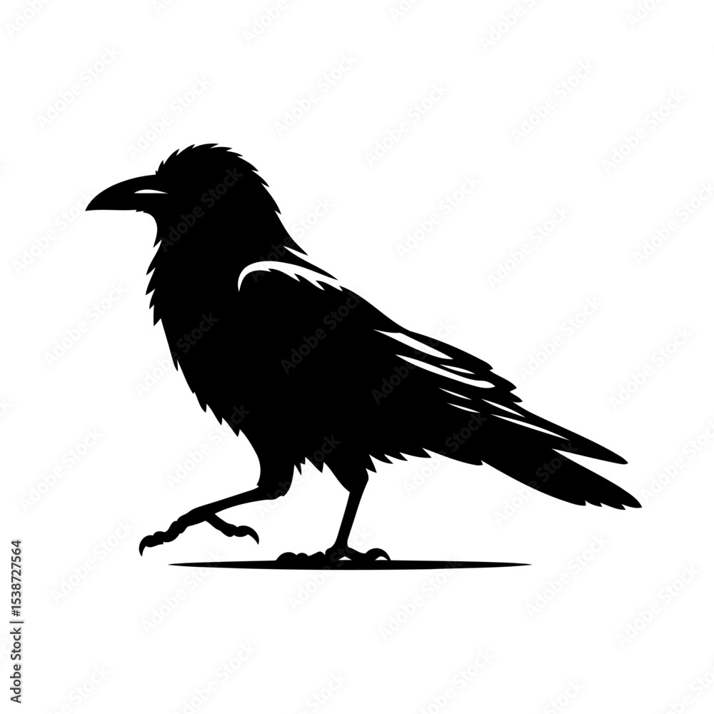 Fototapeta premium Raven Silhouette Bird