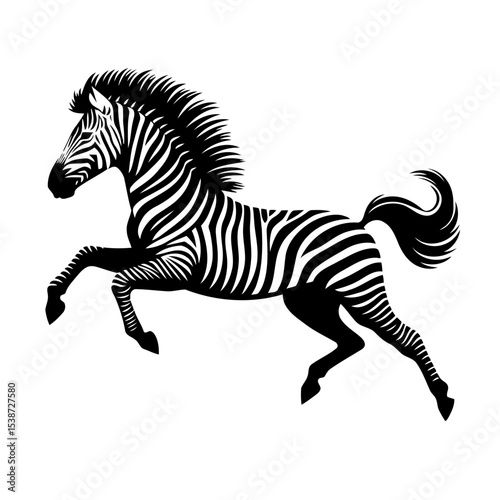 Zebra In Motion Wildlife