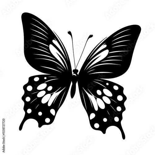 Black Butterfly Monochrome Wings Nature Insect Vector Graphic