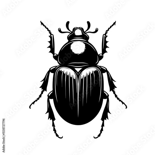 Beetle Bold Graphic