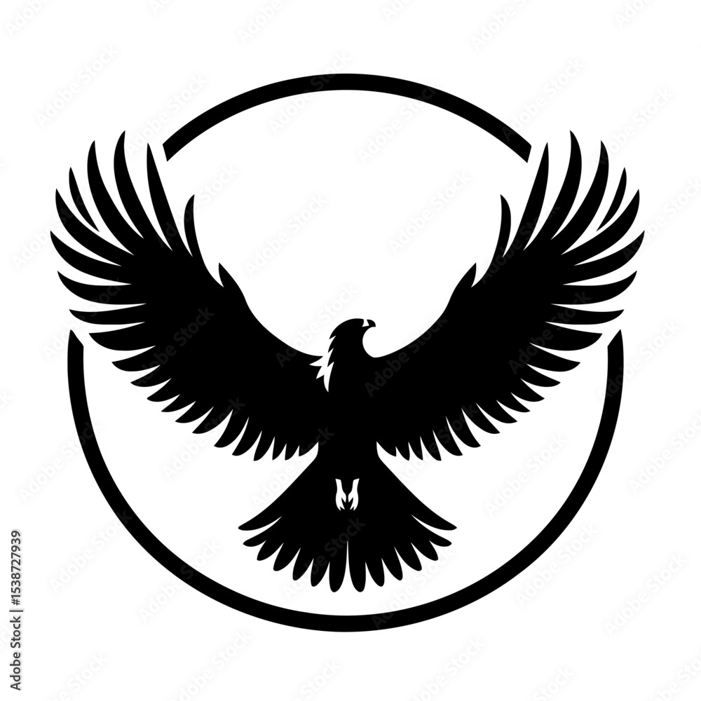 Obraz premium Eagle In Flight Bird Silhouette
