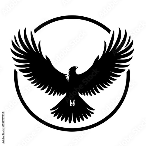 Eagle In Flight Bird Silhouette