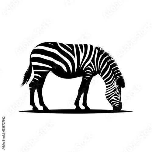 Striped Zebra In African Animal