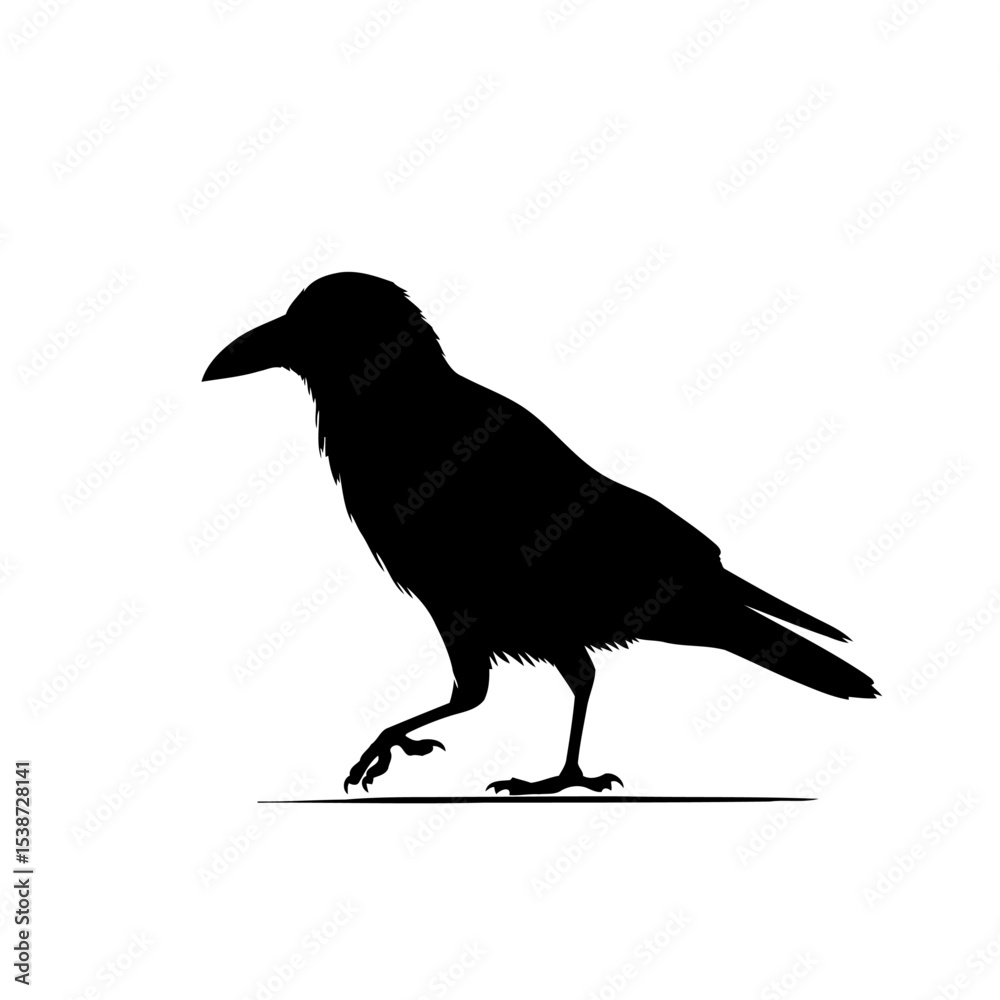 Fototapeta premium Crow Silhouette Vector Graphic