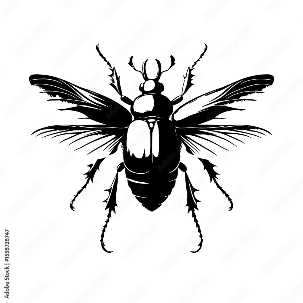 Obraz premium Beetle Bold Graphic