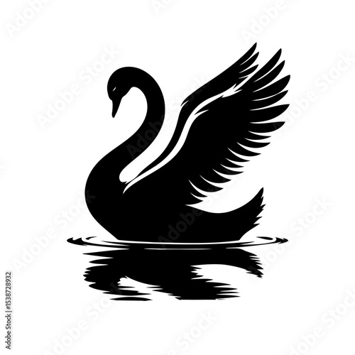 Black Swan Graceful Silhouette On Water Elegant Bird Nature Wildlife