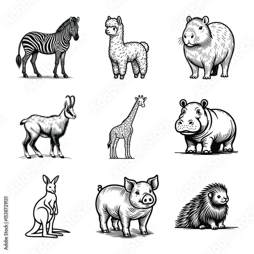 Different types of animal line art bundle vector illustration isolated on a white background