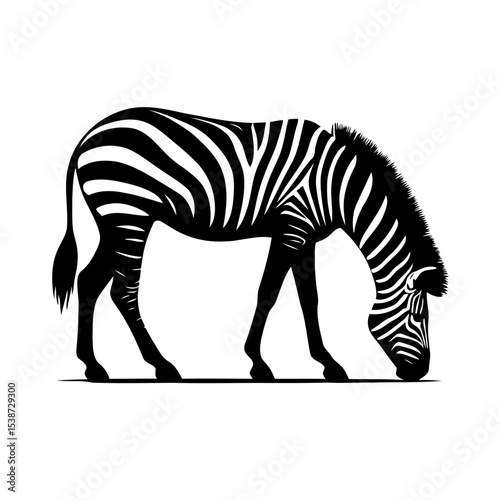 Striped Zebra In Stunning Wildlife