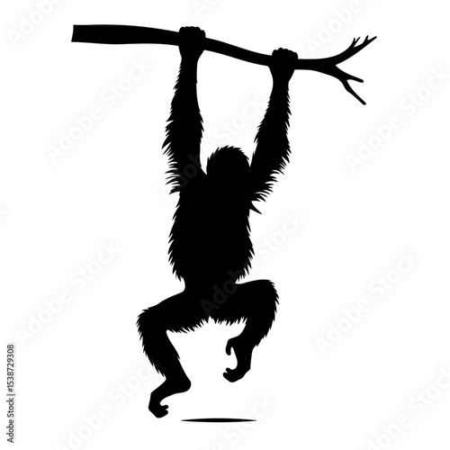 Orangutan Silhouette Hanging From Tree Branch Primate In Rainforest