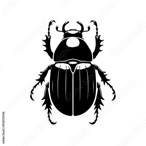 Black Beetle Silhouette In