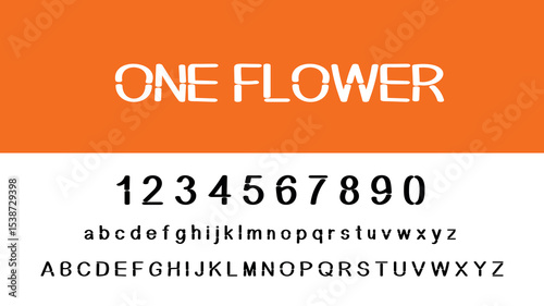 FONT DESIGN