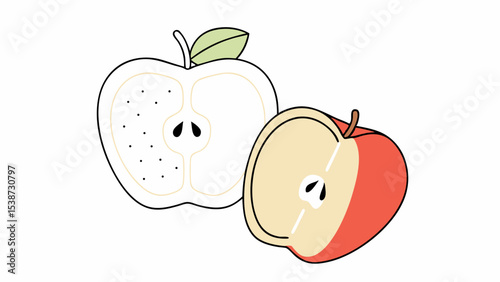 Half Apple, Red Apple, White Apple, Cross Section