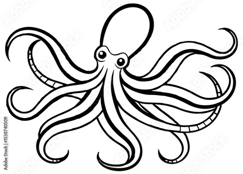 Hand drawn octopus, Sea octopus line art isolated on white background.
