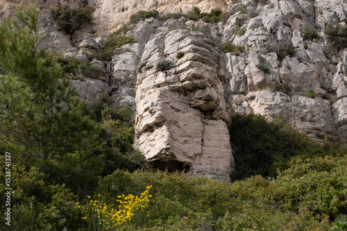 Coastal environments from the Mediterranean coast. Shot during 3 days of hiking in the Calanques, south of France, close to Marseille.