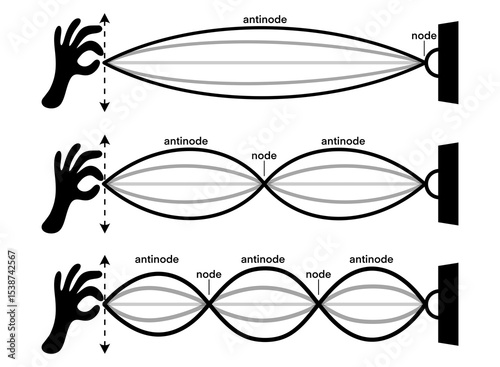 Educational illustration of standing waves on a string fixed at one end, showing different harmonic modes with labeled nodes and antinodes. Ideal for science and physics education content