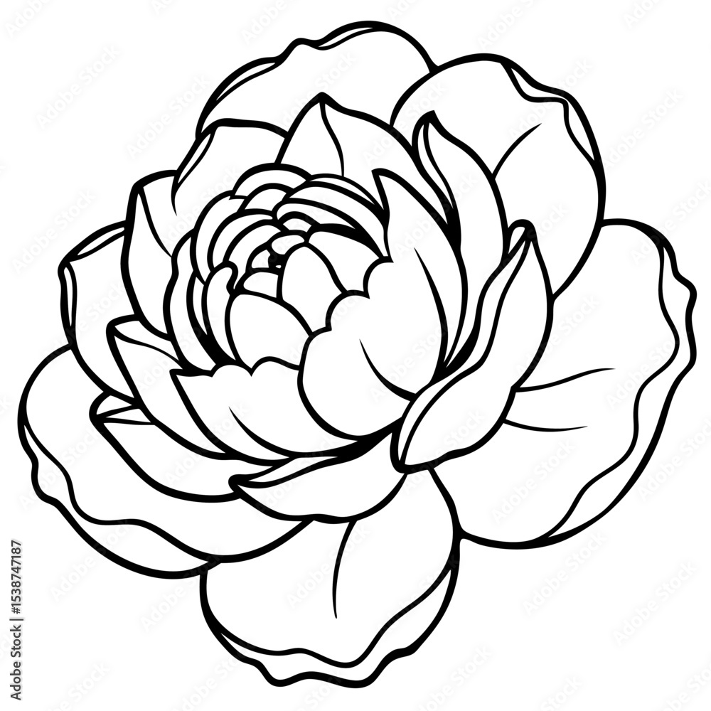 Obraz premium Lifelike Vector Illustration of a Pink Peony Flower – Realistic Bloom, Botanical Art, Floral Design, Nature Clipart, Garden Element, Wedding Decor, Spring 