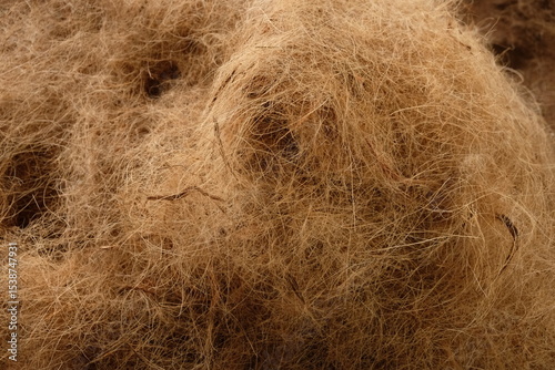 Coconut fiber or coconut coir is a derivative product of the coconut tree. Cocos nucifera. 