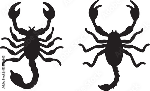 scorpion vector illustration