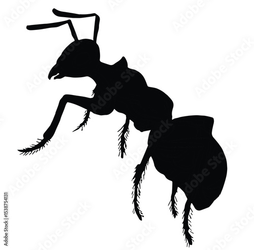 Cute cartoon hand drawn vector ant silhouette.