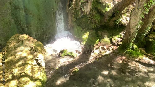 A stream with a waterfall flows through a mossy forest. The water is crystal clear, and the green moss clings to the rocks. The landscape is peaceful and serene.