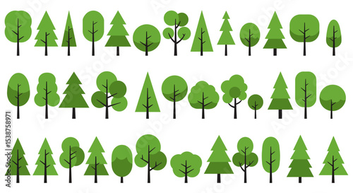 Diverse cartoon trees on white background with evergreen and deciduous varieties vector illustration
