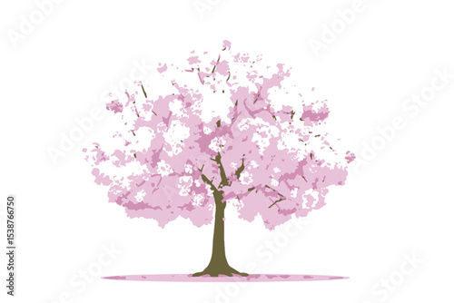Pink Cherry Blossom Tree Spring Nature Illustration