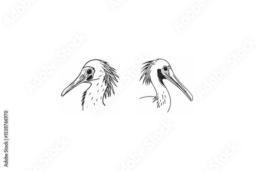 line art of bird head bundle