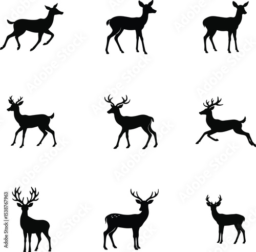 Beautiful deer pack captured in still motion art on white background silhouette Vector set 