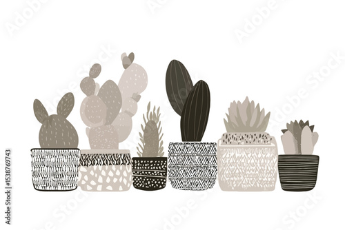 Seven Succulents and Cacti in Gray and Black Pots plants