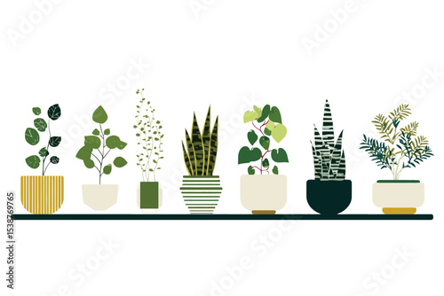 Seven potted plants on shelf green yellow white pots