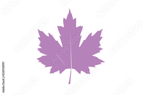 Single Lavender Maple Leaf Silhouette White Background