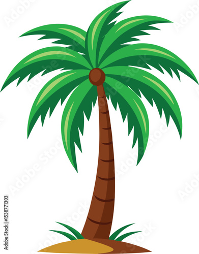 palm tree vector Illustrator 