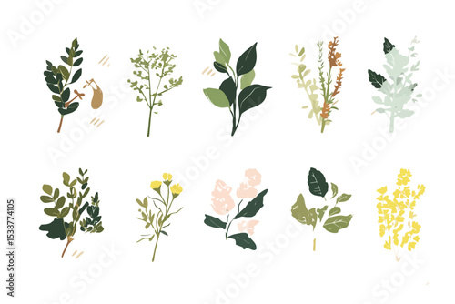 Ten Green Yellow Pink Floral Botanical Illustrations
